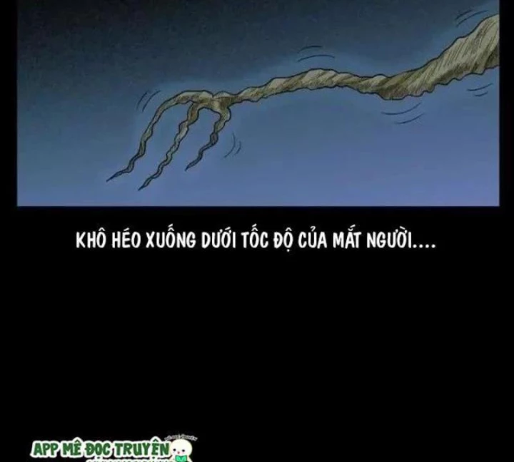 Tam Lão Gia Kinh Kỳ Thủ Trát Chapter 42 - Trang 2