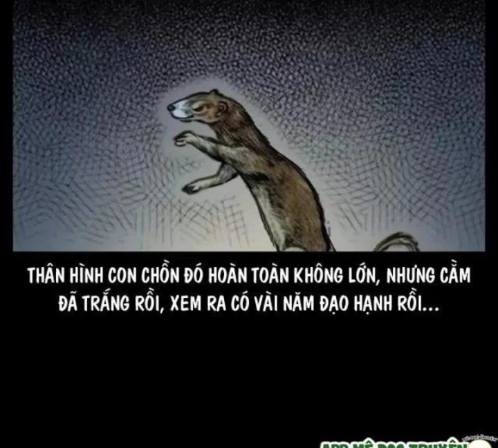 Tam Lão Gia Kinh Kỳ Thủ Trát Chapter 45 - Trang 2