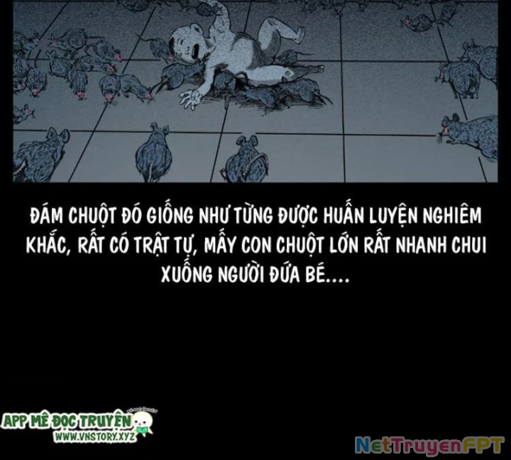 Tam Lão Gia Kinh Kỳ Thủ Trát Chapter 49 - Trang 2