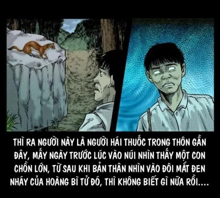 Tam Lão Gia Kinh Kỳ Thủ Trát Chapter 51 - Trang 2