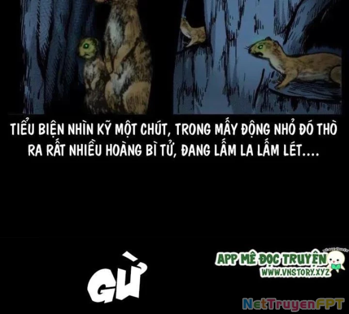 Tam Lão Gia Kinh Kỳ Thủ Trát Chapter 52 - Trang 2