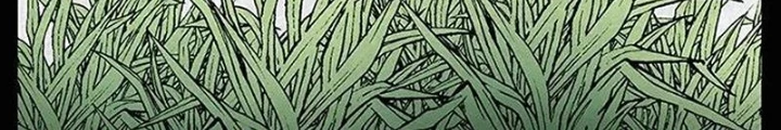Tam Lão Gia Kinh Kỳ Thủ Trát Chapter 66 - Trang 2