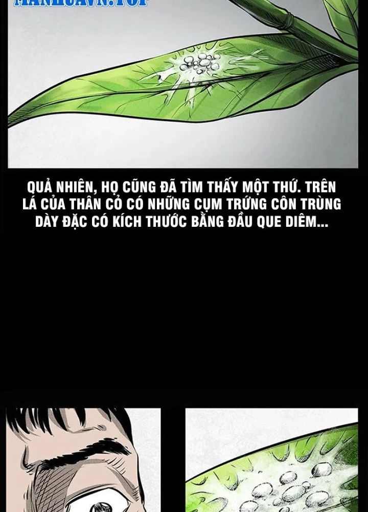 Tam Lão Gia Kinh Kỳ Thủ Trát Chapter 66 - Trang 2