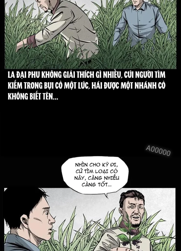 Tam Lão Gia Kinh Kỳ Thủ Trát Chapter 67 - Trang 2