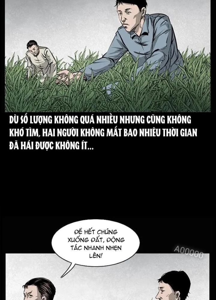 Tam Lão Gia Kinh Kỳ Thủ Trát Chapter 67 - Trang 2