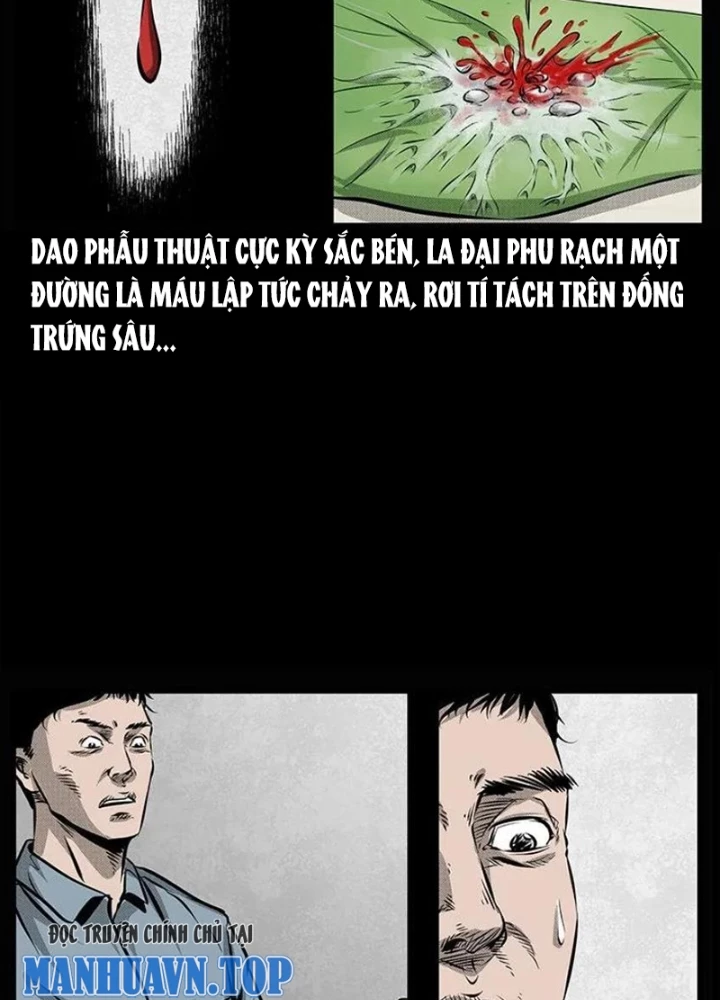 Tam Lão Gia Kinh Kỳ Thủ Trát Chapter 67 - Trang 2