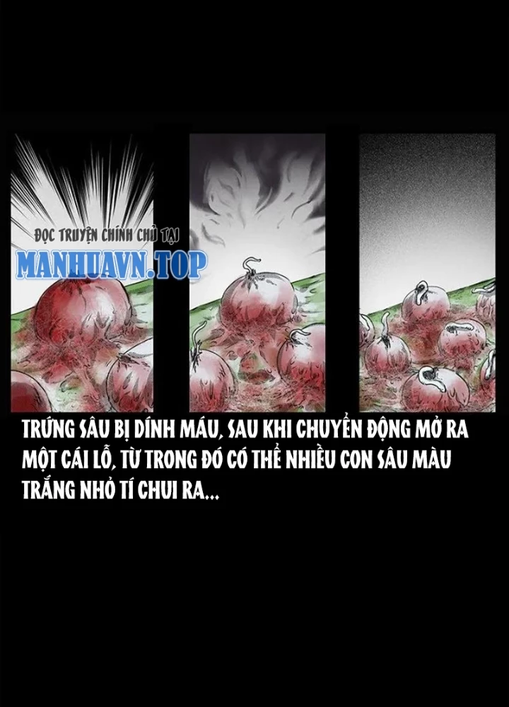 Tam Lão Gia Kinh Kỳ Thủ Trát Chapter 67 - Trang 2