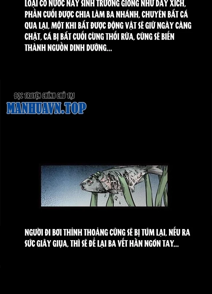 Tam Lão Gia Kinh Kỳ Thủ Trát Chapter 70 - Trang 2