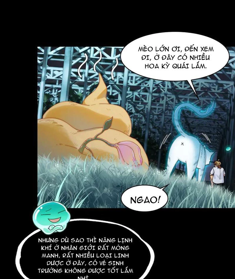 Trước mặt bệnh tâm thần, quỷ dị chẳng là gì cả Chapter 120 - Trang 3