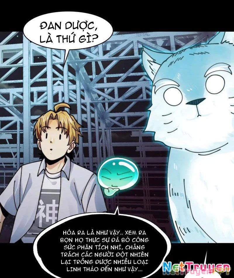 Trước mặt bệnh tâm thần, quỷ dị chẳng là gì cả Chapter 120 - Trang 3