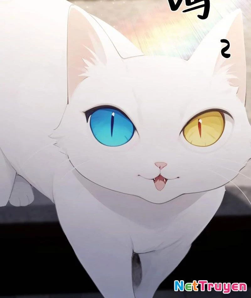 Ảo Ma! Ta Mở Lớp Huấn Luyện Nữ Đế! Chapter 87 - Trang 3