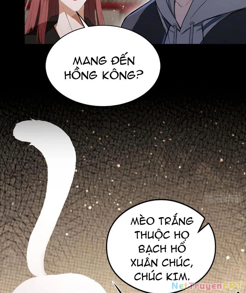Ảo Ma! Ta Mở Lớp Huấn Luyện Nữ Đế! Chapter 87 - Trang 3