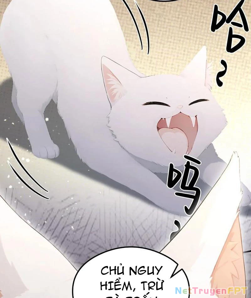 Ảo Ma! Ta Mở Lớp Huấn Luyện Nữ Đế! Chapter 87 - Trang 3