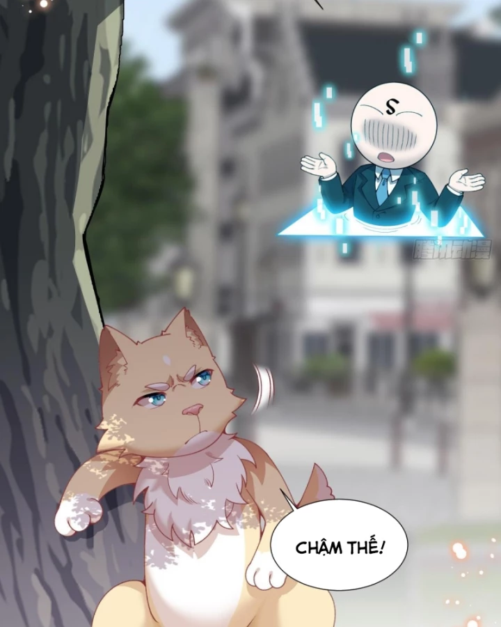 Kế Hoạch Nuôi Dưỡng Streamer Của Cẩu Hoàng Chapter 13 - Trang 3