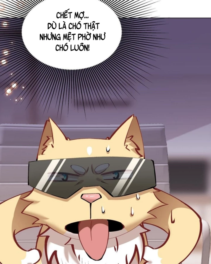 Kế Hoạch Nuôi Dưỡng Streamer Của Cẩu Hoàng Chapter 13 - Trang 3