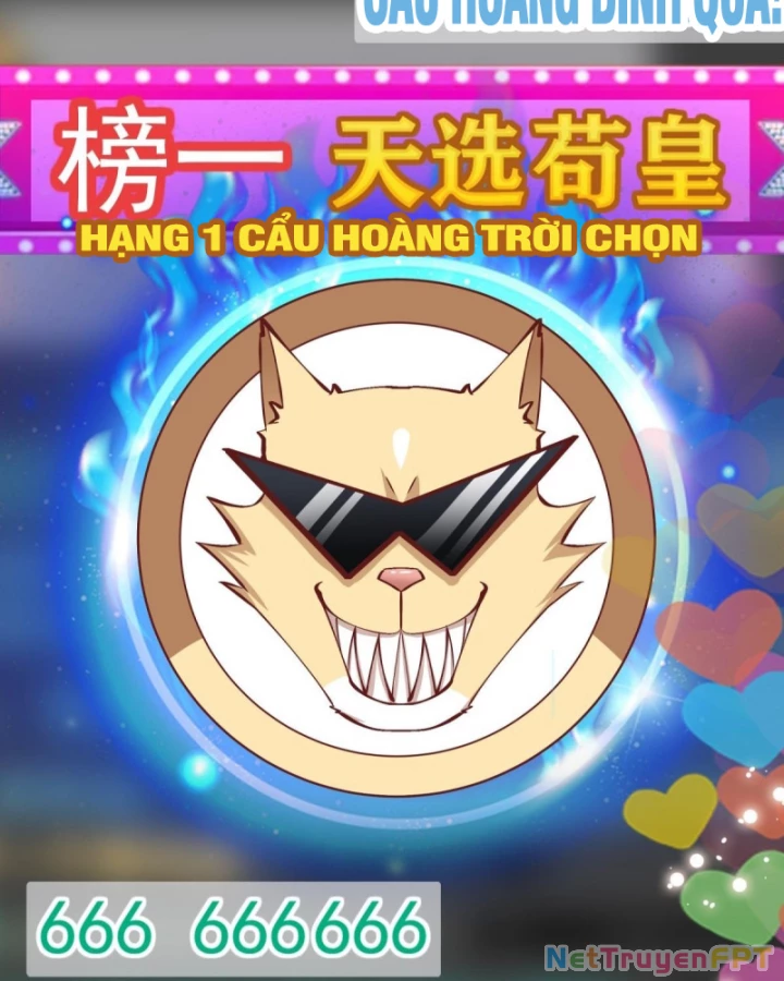 Kế Hoạch Nuôi Dưỡng Streamer Của Cẩu Hoàng Chapter 13 - Trang 3