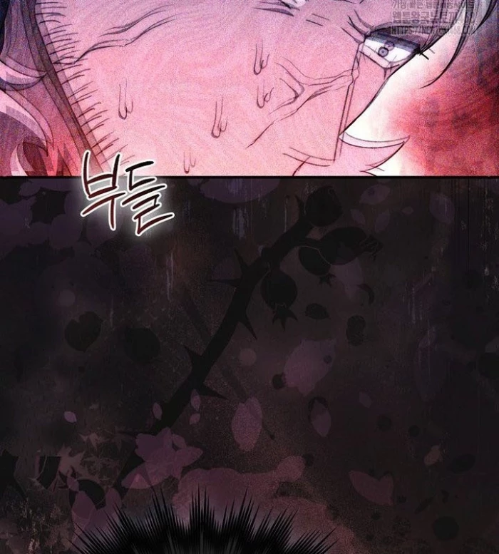 Cuồng Long Kiếm Thần Chapter 40 - Trang 3