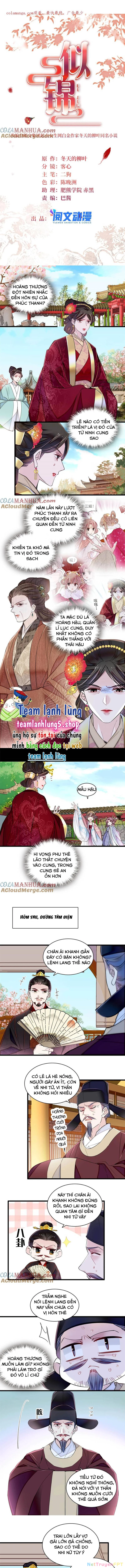 Tự Cẩm Chapter 361 - Trang 4