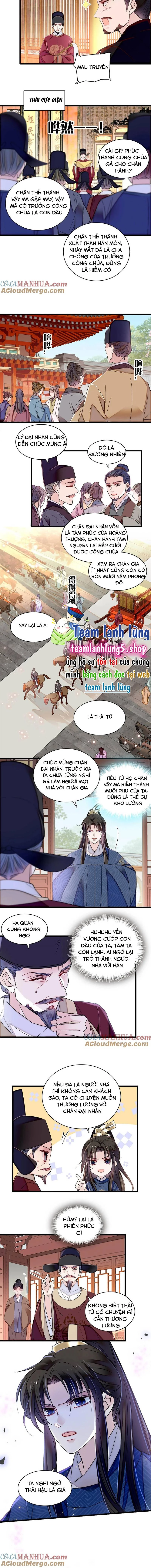 Tự Cẩm Chapter 361 - Trang 4