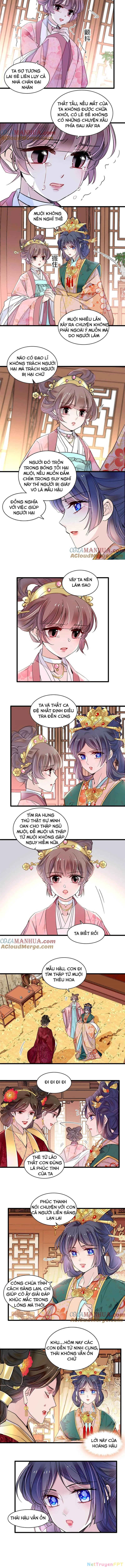 Tự Cẩm Chapter 363 - Trang 4