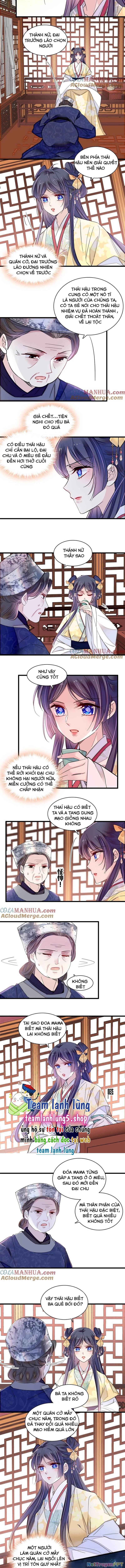Tự Cẩm Chapter 363 - Trang 4