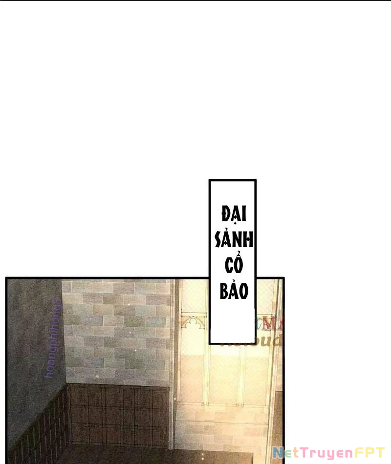 Chiếc Lồng Chứa Quỷ Chapter 56 - Trang 3