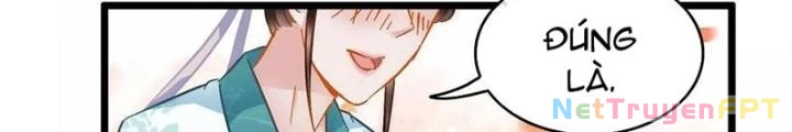 Đệ Nhất Nằm Vùng Nam Tống Chapter 46 - Trang 2