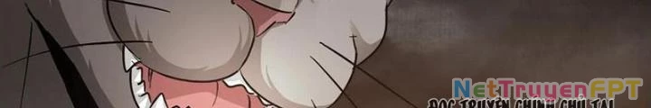 Đệ Nhất Nằm Vùng Nam Tống Chapter 54 - Trang 2