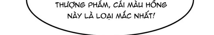 Đệ Nhất Nằm Vùng Nam Tống Chapter 63 - Trang 2