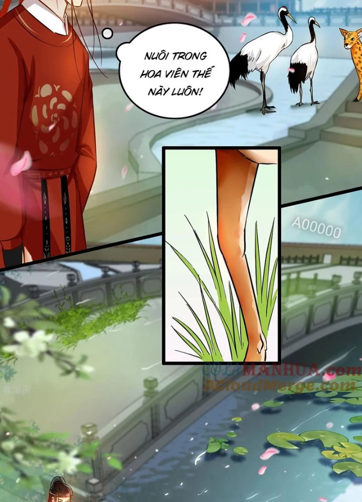 Đệ Nhất Nằm Vùng Nam Tống Chapter 76 - Trang 2