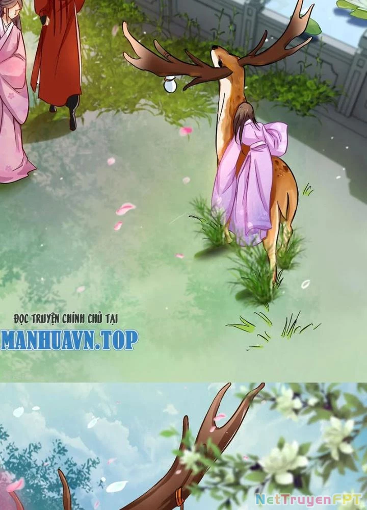 Đệ Nhất Nằm Vùng Nam Tống Chapter 76 - Trang 2