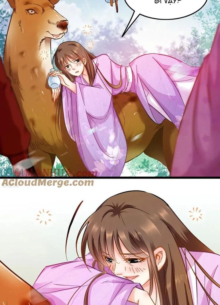 Đệ Nhất Nằm Vùng Nam Tống Chapter 76 - Trang 2