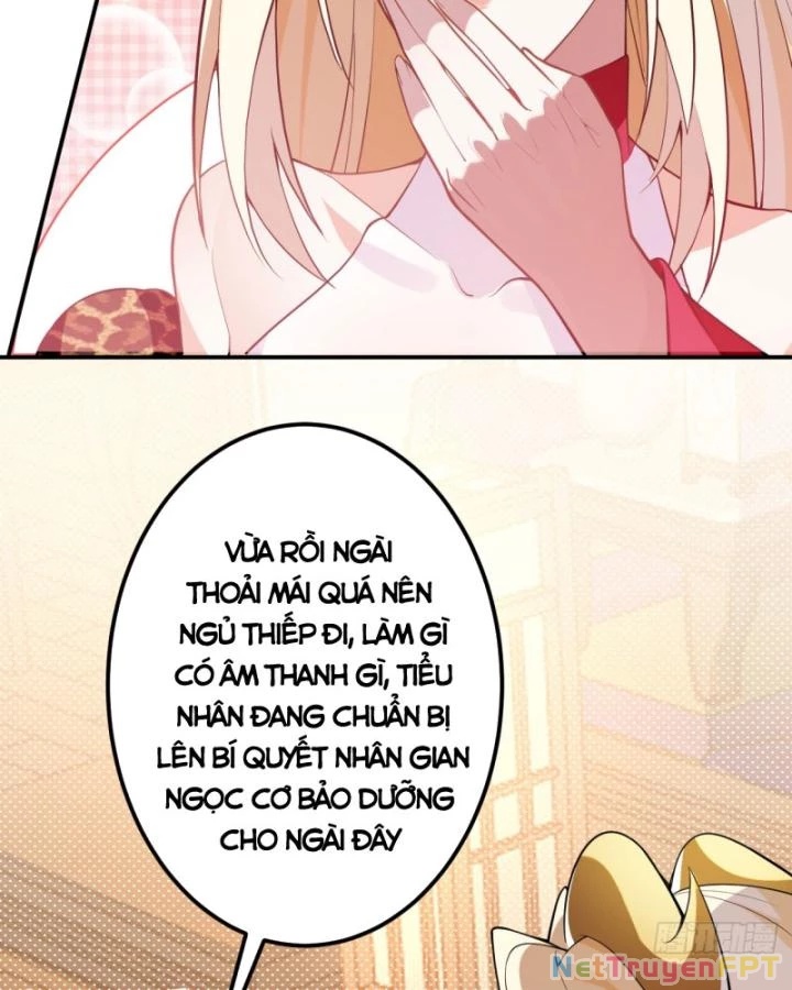 Ta! Phản Phái Thiên Mệnh Lại Thành Chính Đạo Lão Tổ Chapter 30 - Trang 3