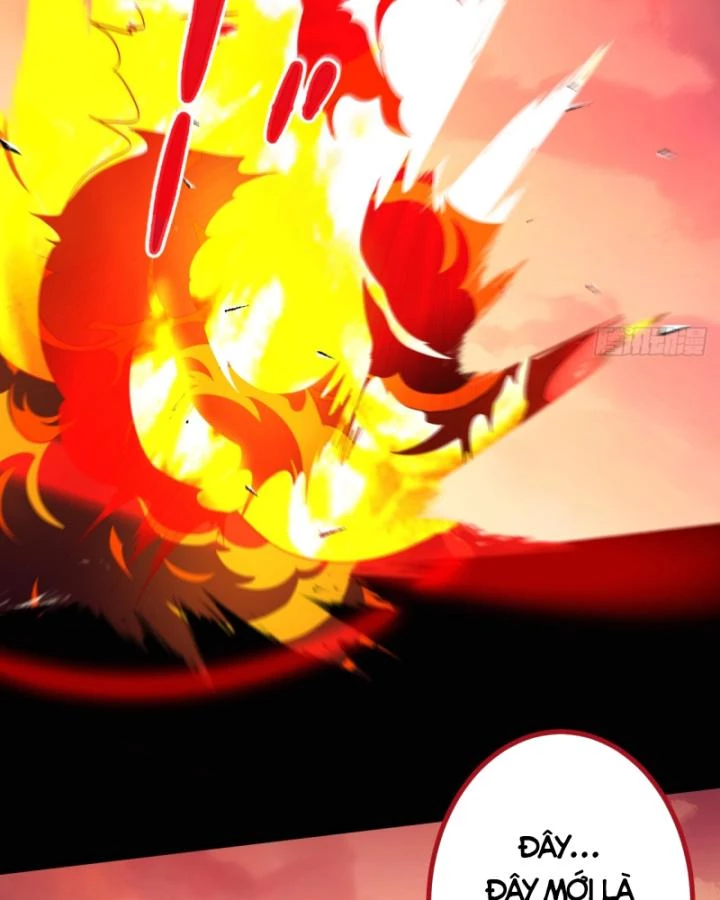 Ta! Phản Phái Thiên Mệnh Lại Thành Chính Đạo Lão Tổ Chapter 75 - Trang 3