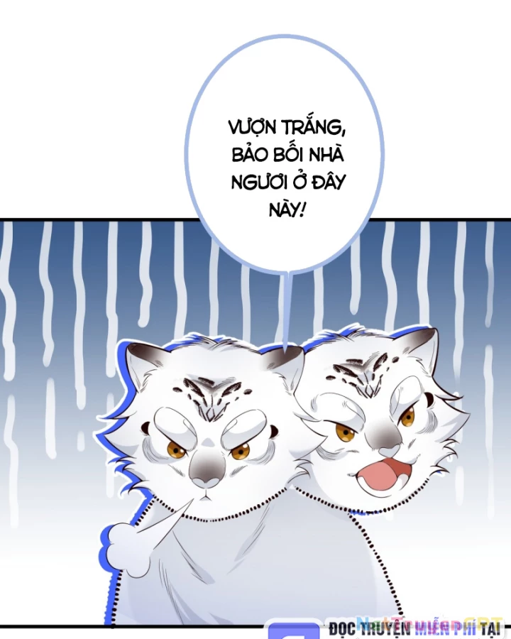 Ta! Phản Phái Thiên Mệnh Lại Thành Chính Đạo Lão Tổ Chapter 84 - Trang 3