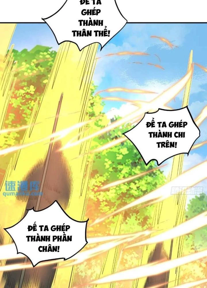 Ta Dựa Vào Body Shaming Tu Thành Đại Lão Chapter 38 - Trang 2