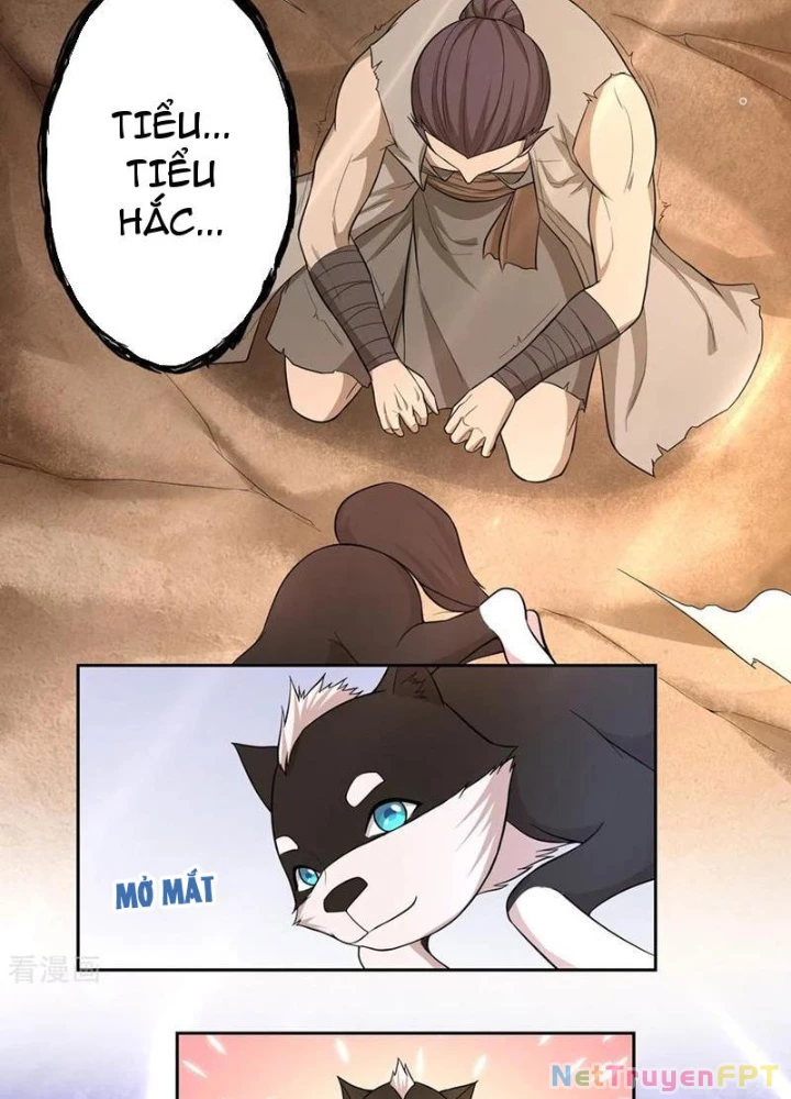 Đệ Nhất Chiến Thần Chapter 51 - Trang 2