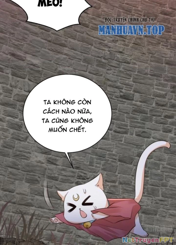 Tùy Tùng Của Nữ Phản Diện Chapter 118 - Trang 2