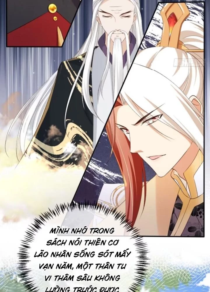Tùy Tùng Của Nữ Phản Diện Chapter 127 - Trang 2