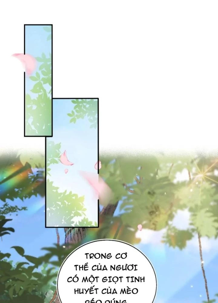 Tùy Tùng Của Nữ Phản Diện Chapter 166 - Trang 2