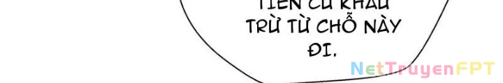 Xin Lỗi, Kỹ Năng Tự Động Của Ta Max Cấp Rồi! Chapter 15 - Trang 2