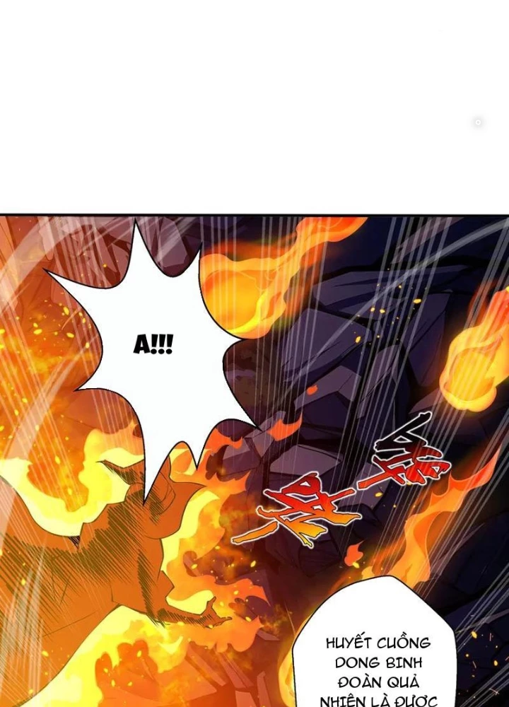 Xin Lỗi, Kỹ Năng Tự Động Của Ta Max Cấp Rồi! Chapter 19 - Trang 2