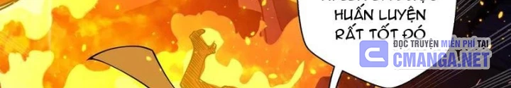 Xin Lỗi, Kỹ Năng Tự Động Của Ta Max Cấp Rồi! Chapter 19 - Trang 2