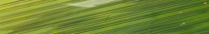 Ta Có Thể Sử Dụng Hệ Thống Rút Thẻ Triệu Hồi Mỹ Thiếu Nữ Chapter 27 - Trang 2