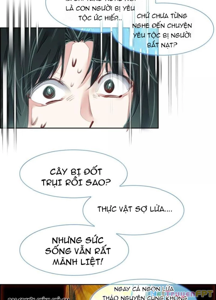 Ta Đây Chính Là Tuyệt Thế Cao Thủ Chapter 78 - Trang 4
