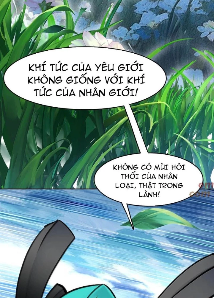 Ta Đây Chính Là Tuyệt Thế Cao Thủ Chapter 81 - Trang 3