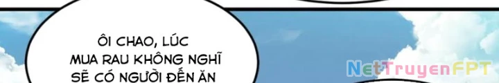 Các Ngươi Tu Tiên Còn Ta Rút Thẻ Chapter 45 - Trang 3