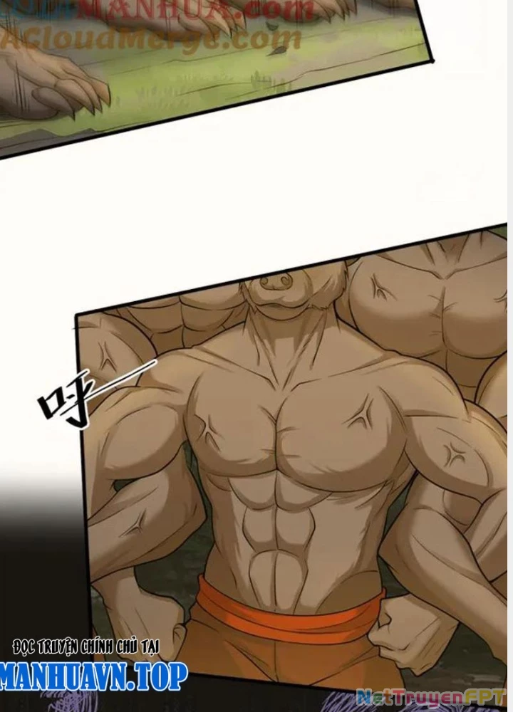 Các Ngươi Tu Tiên Còn Ta Rút Thẻ Chapter 48 - Trang 3