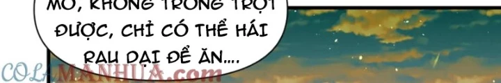 Các Ngươi Tu Tiên Còn Ta Rút Thẻ Chapter 49 - Trang 3