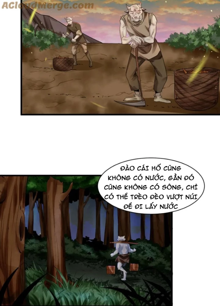 Các Ngươi Tu Tiên Còn Ta Rút Thẻ Chapter 49 - Trang 3